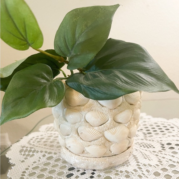 Small Seashell Flower Pot - Picture 6 of 9
